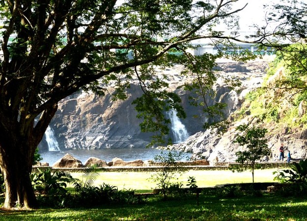 Solo una sociedad en estado de alivio resuelve los problemas sociales