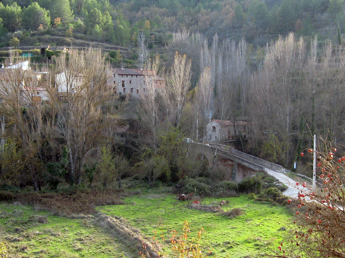 Simulacro de incendio forestal en la comarca de Gúdar-Javalambre. La atención social como parte de la respuesta integral