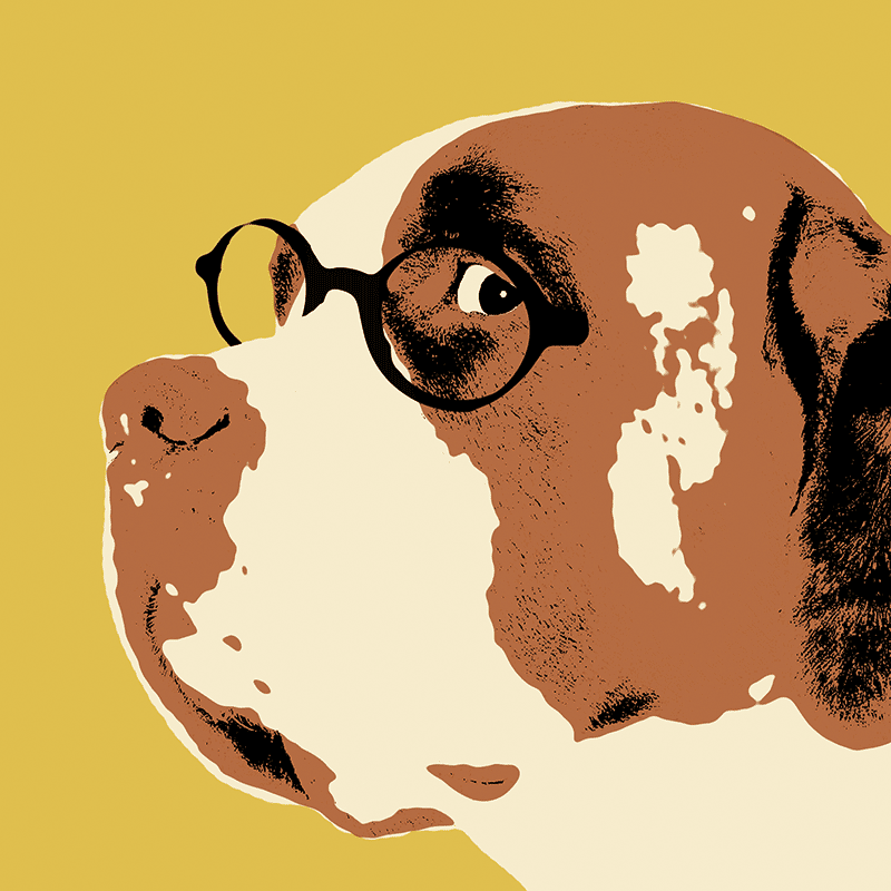 Avance de un nuevo libro