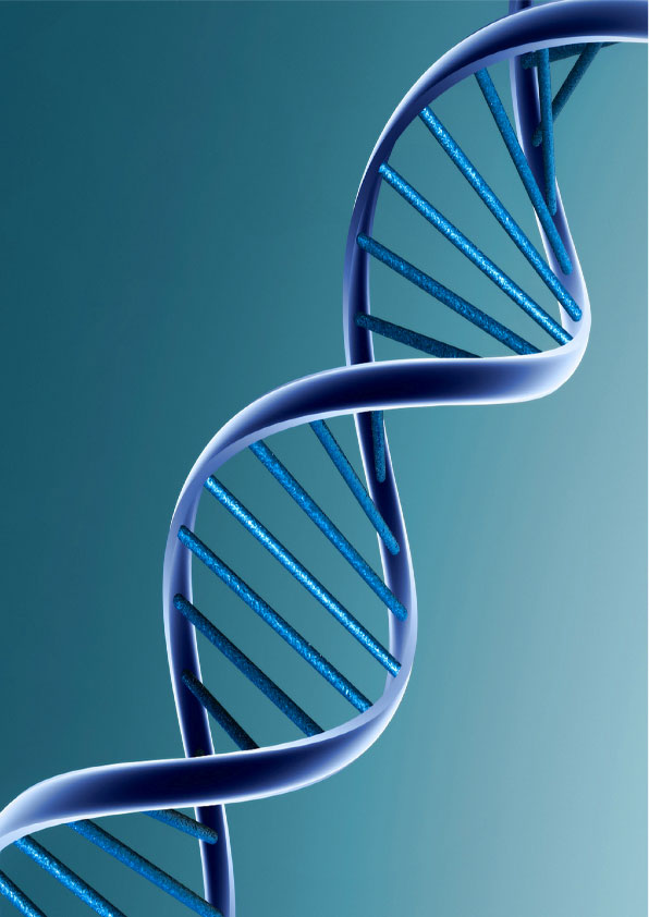 Los NN en la Unidad de evaluación y guardia psiquiátrica: ¿un punto de llegada o de salida?