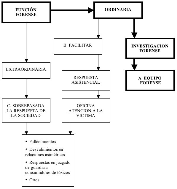 Los Trabajadores Sociales en el equipo forense